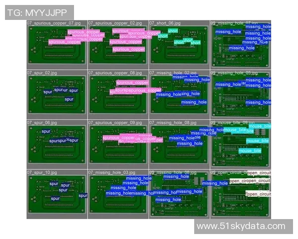 广州极限运动队的防守与反击策略分析及其成效评估