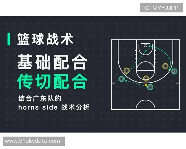 深圳篮球队的整体压制分析与战术解读探讨